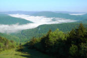 View of the hills in springtime